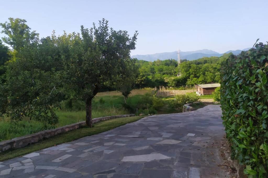 Appartamento Nel Verde Tra Cinque Terre E Versilia Barbarasco Экстерьер фото